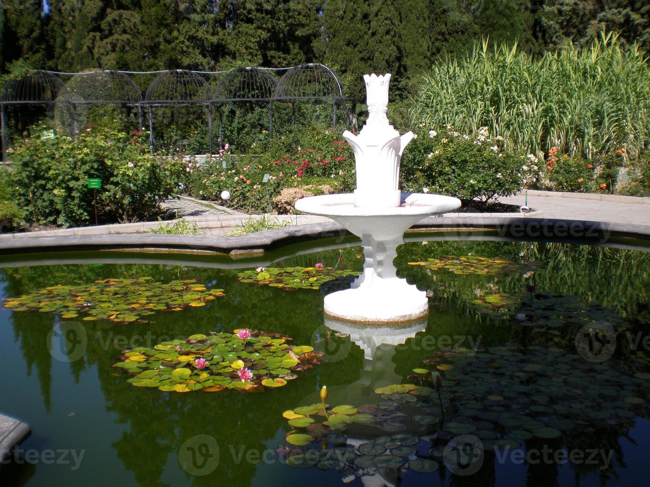 Fontana nel il nikitsky botanico giardino, Crimea foto