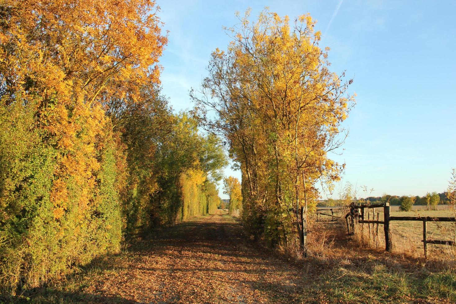 autunno nella campagna francese foto