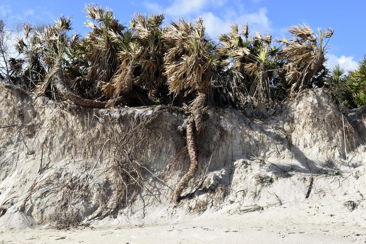 spiaggia erosione dopo l'uragano matthew foto