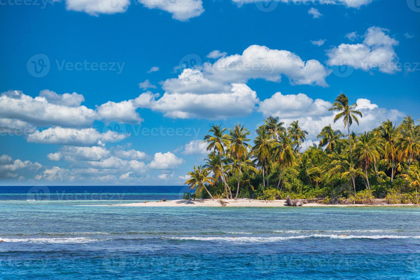 isola palma albero mare sabbia spiaggia. esotico spiaggia paesaggio. ispirare tropicale spiaggia paesaggio marino orizzonte. soleggiato blu cielo bellissimo rilassare calma estate umore. vacanza viaggio vacanza striscione, lusso destinazione foto