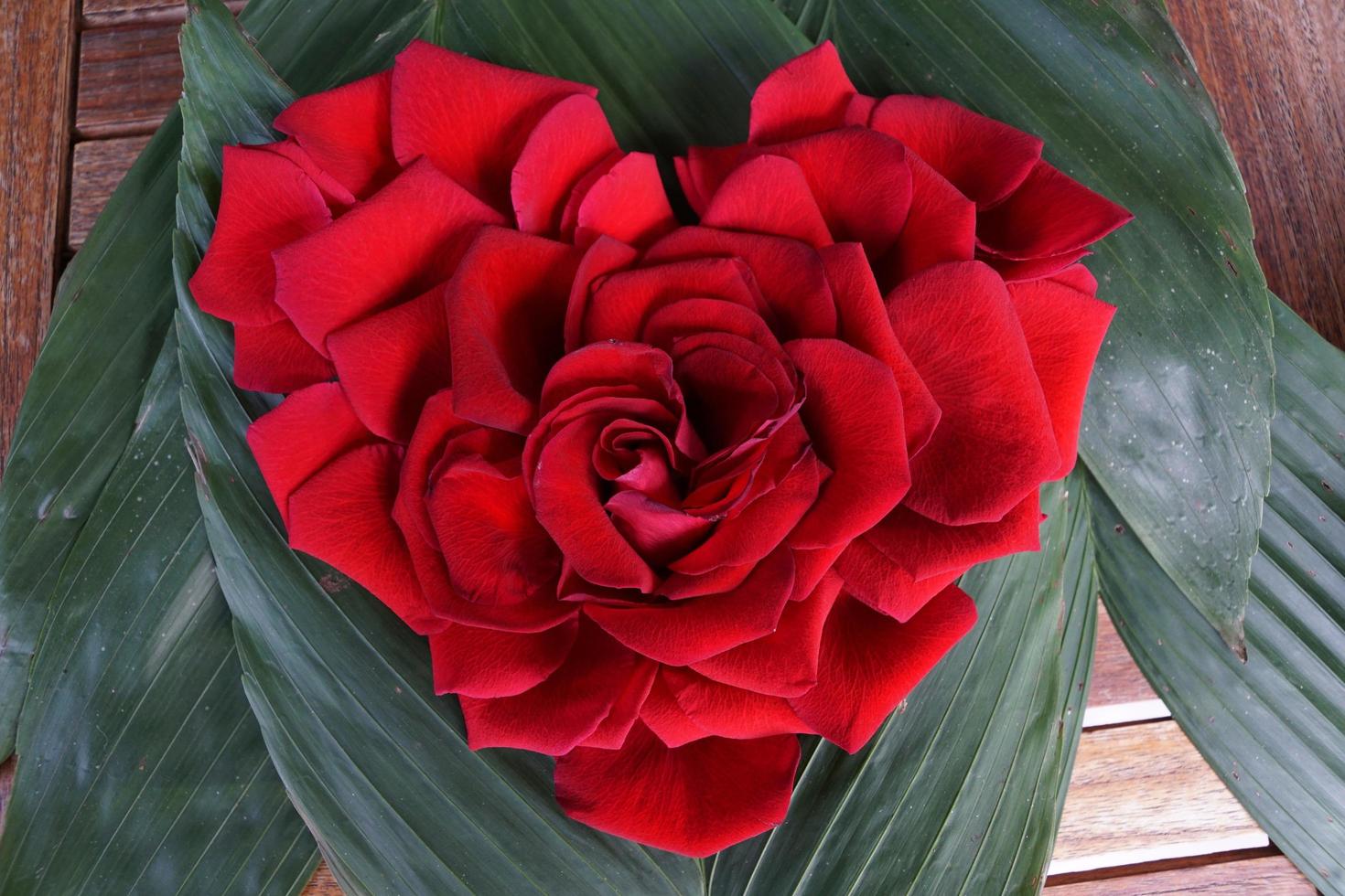 cuore fatto di petali di rose rosse foto