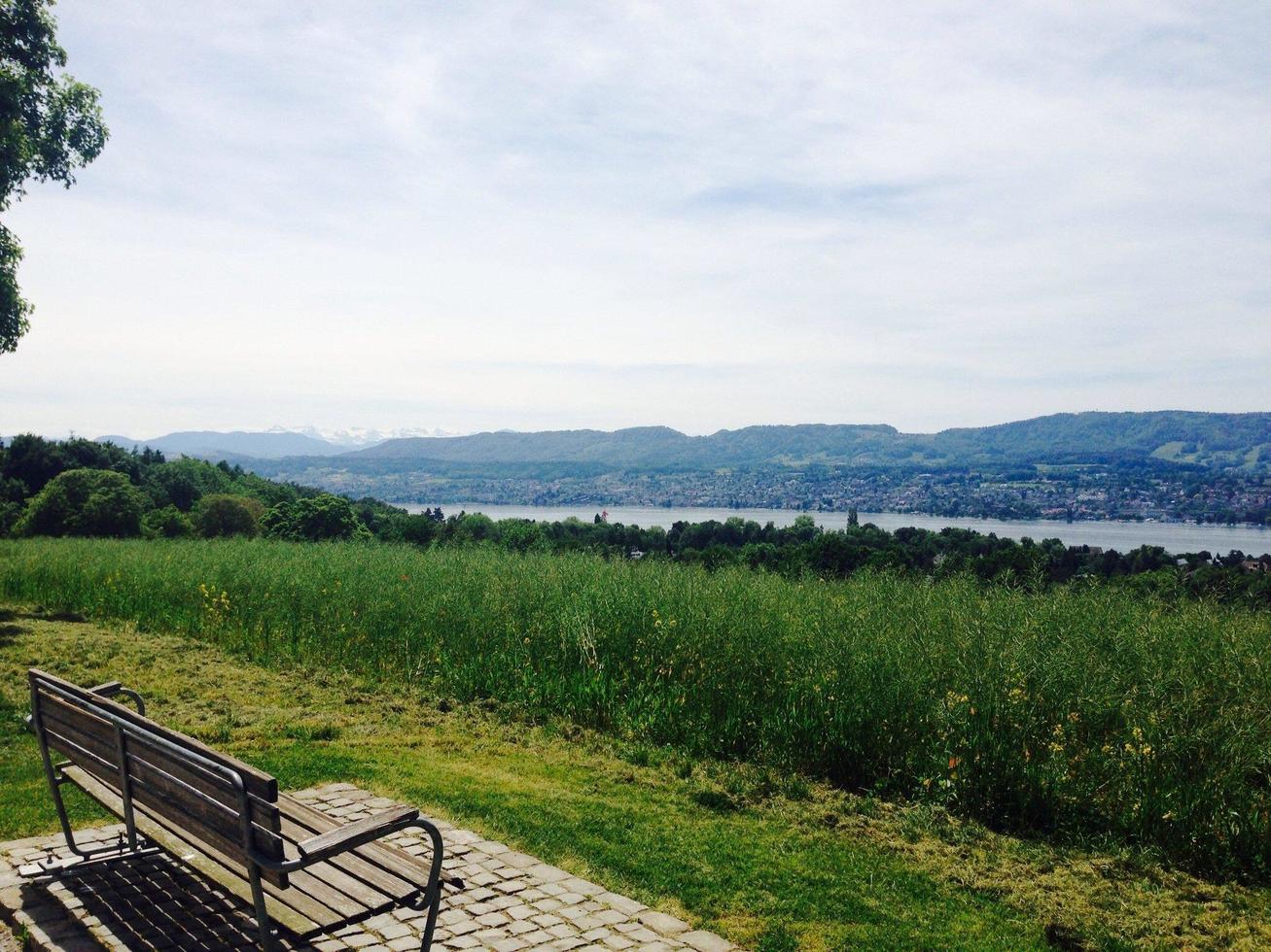 paesaggio panoramico in svizzera foto
