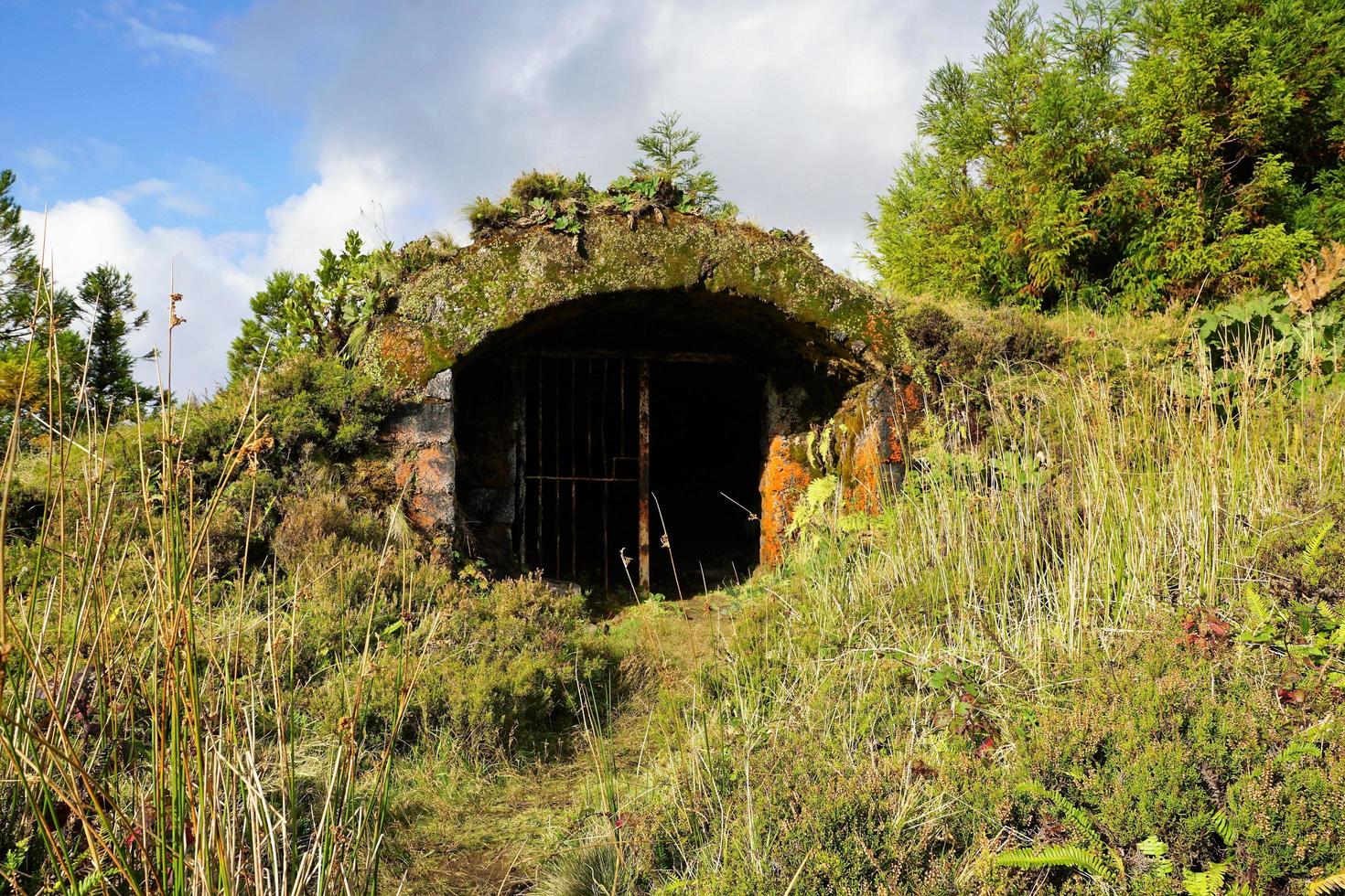 cantina sulle isole azzorre foto