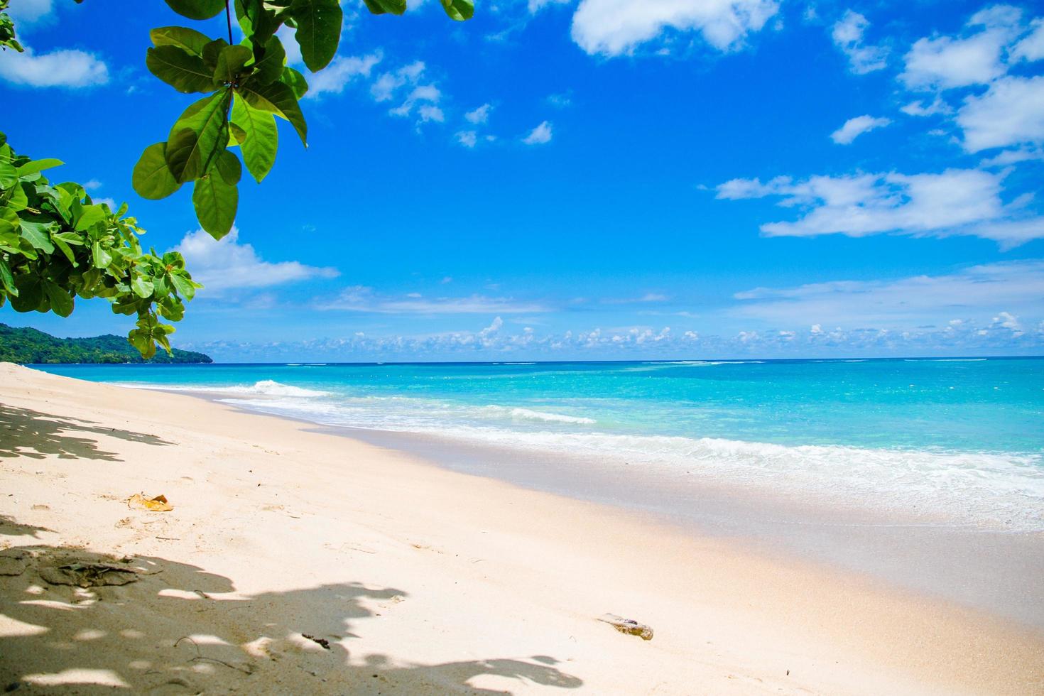 spiaggia di beac tropicale foto