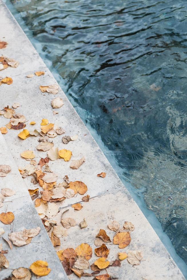 foglie cadute marroni sulle scale accanto al corpo d'acqua foto