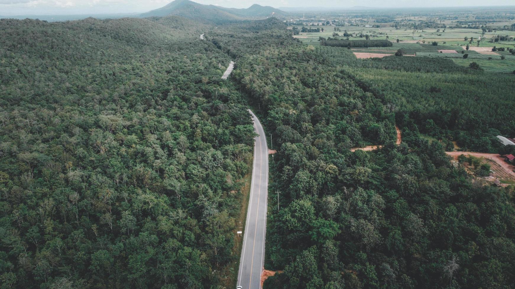 arial Visualizza di un' autostrada attraverso un' foresta a tramonto foto