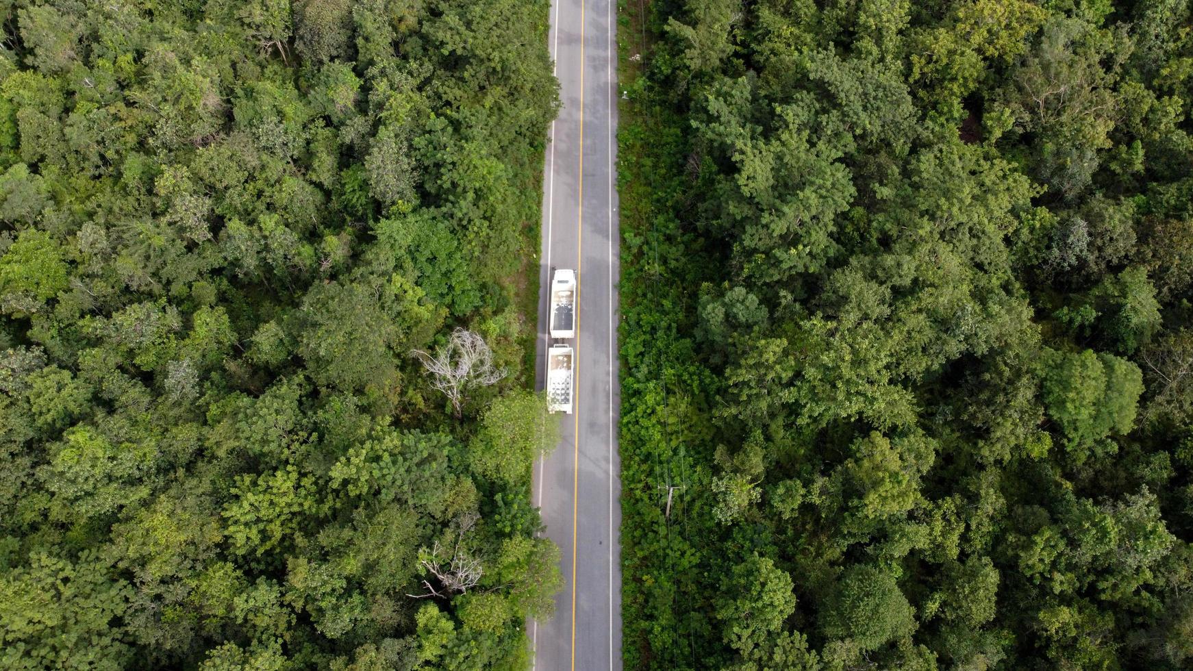 arial Visualizza di un' autostrada attraverso un' foresta a tramonto foto