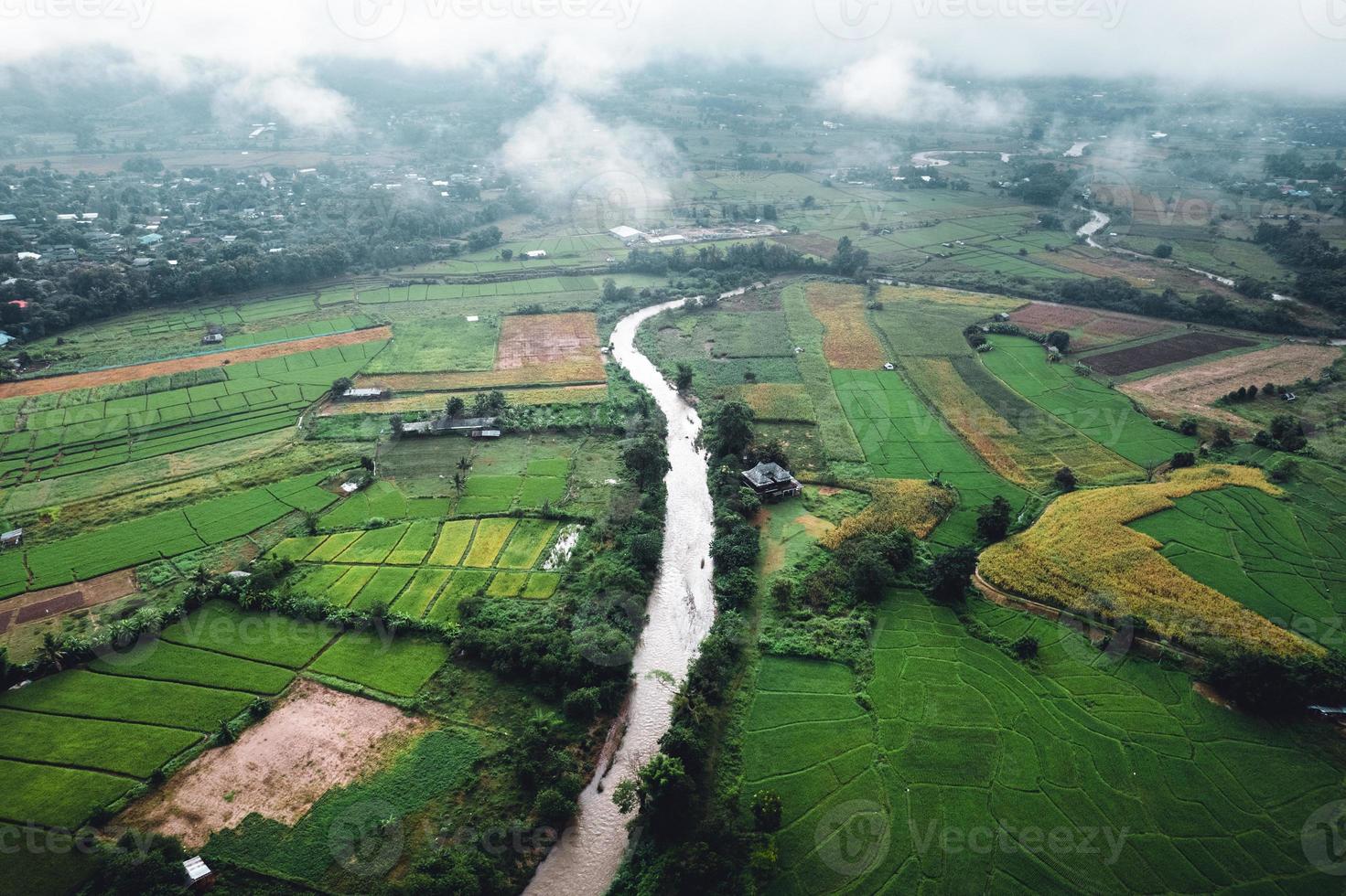 riso campo nel il mattina nel Asia foto