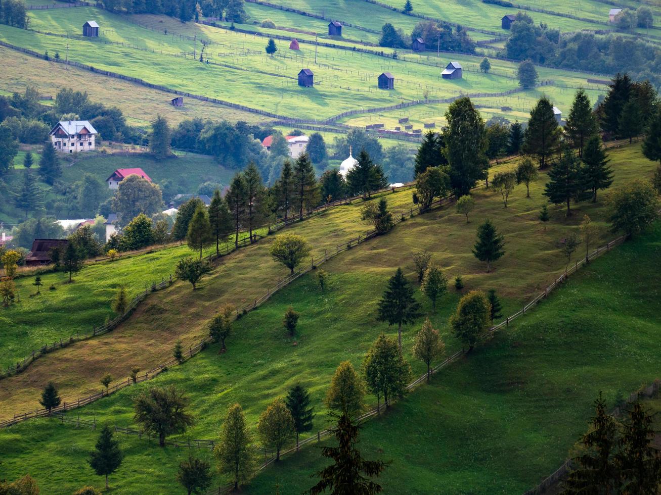 collina verde con alberi di fronte a un paese foto