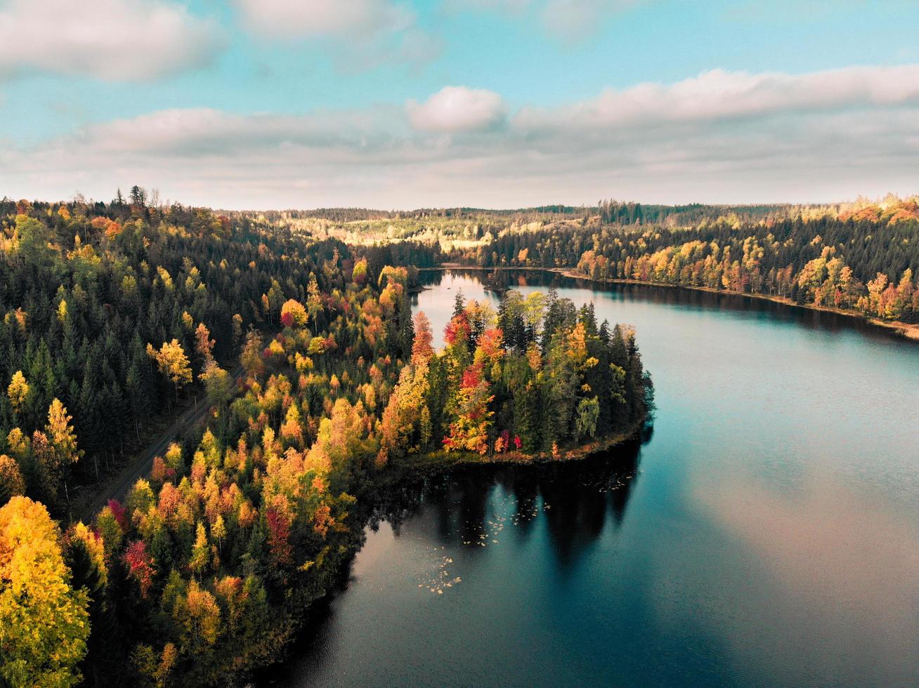 alberi colorati d'autunno in Svezia foto