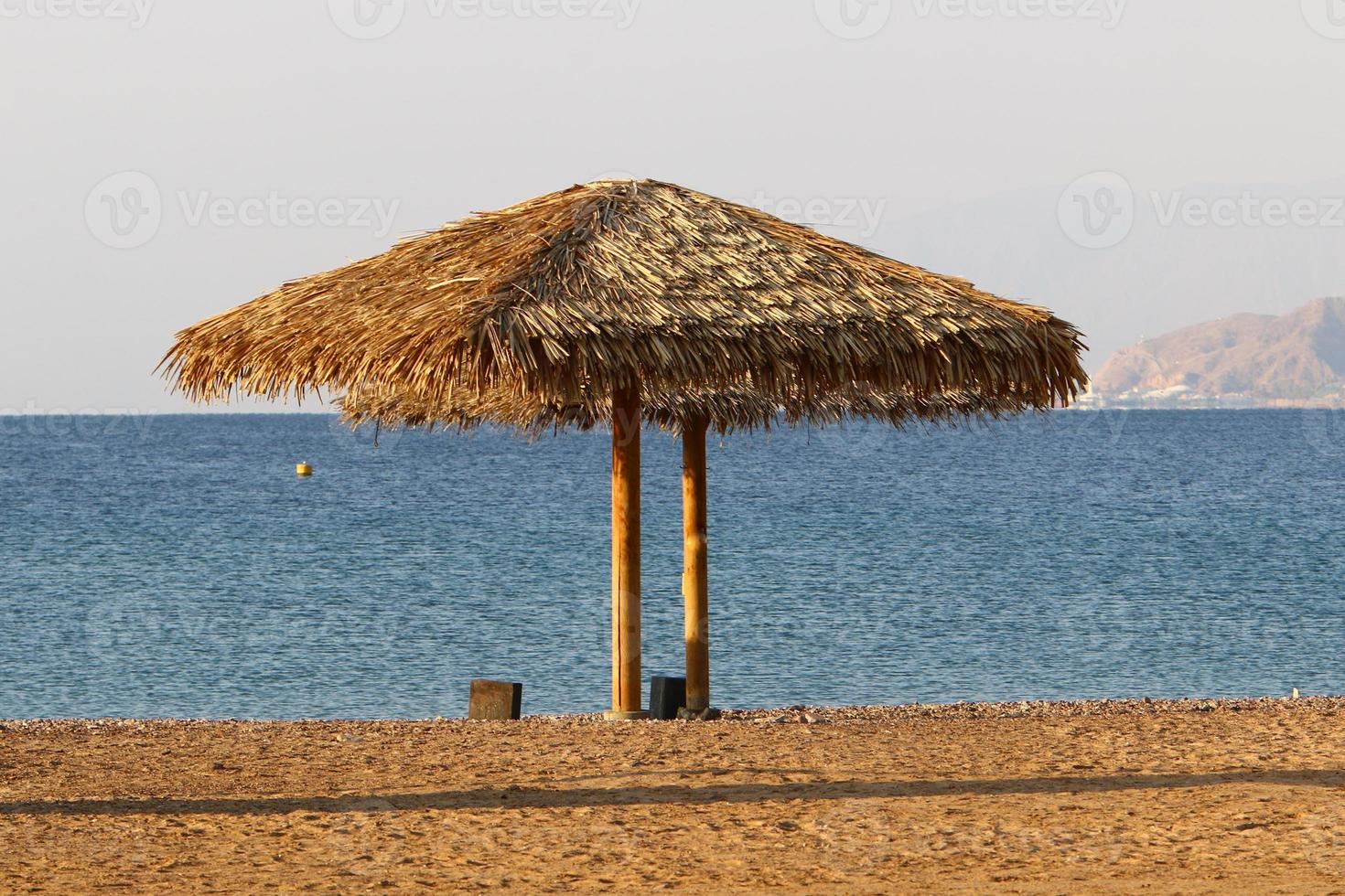 ombrello nel il città parco vicino il mare. foto