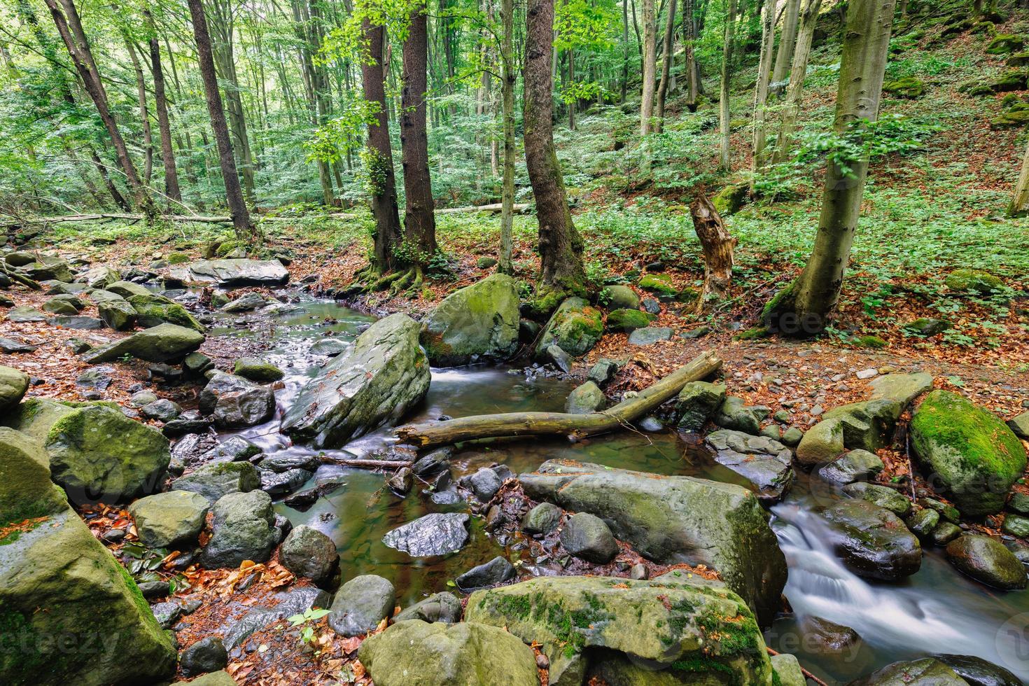 verde foresta torrente, ruscello di il Alpi montagne. bellissimo acqua fluire, soleggiato colorato muschioso rocce natura paesaggio. sorprendente tranquillo, calmo e rilassante montagna natura scena, primavera estate avventura viaggio foto