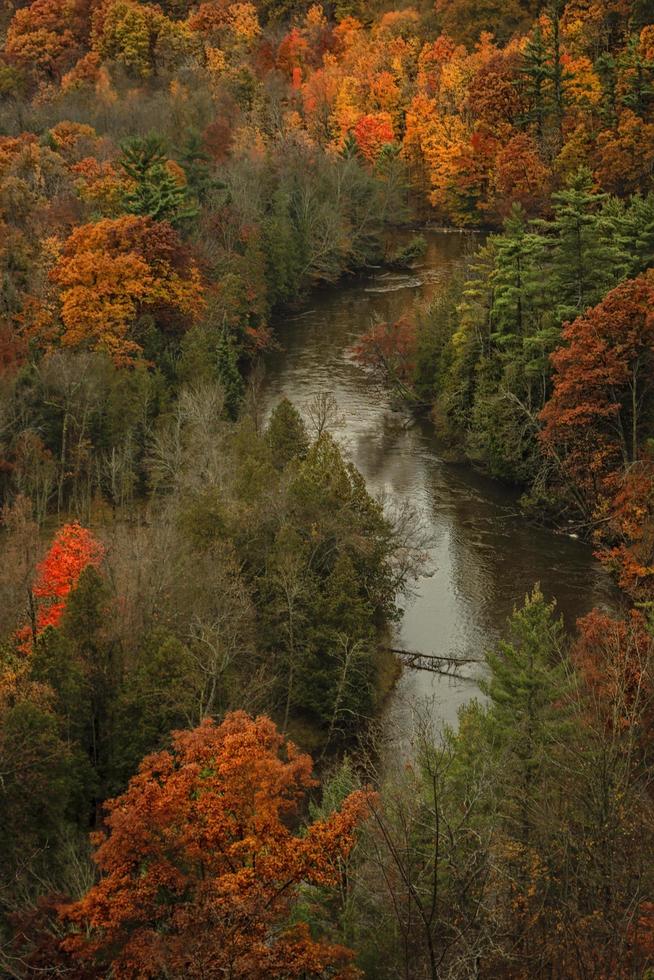 fiume che scorre attraverso una foresta d'autunno foto