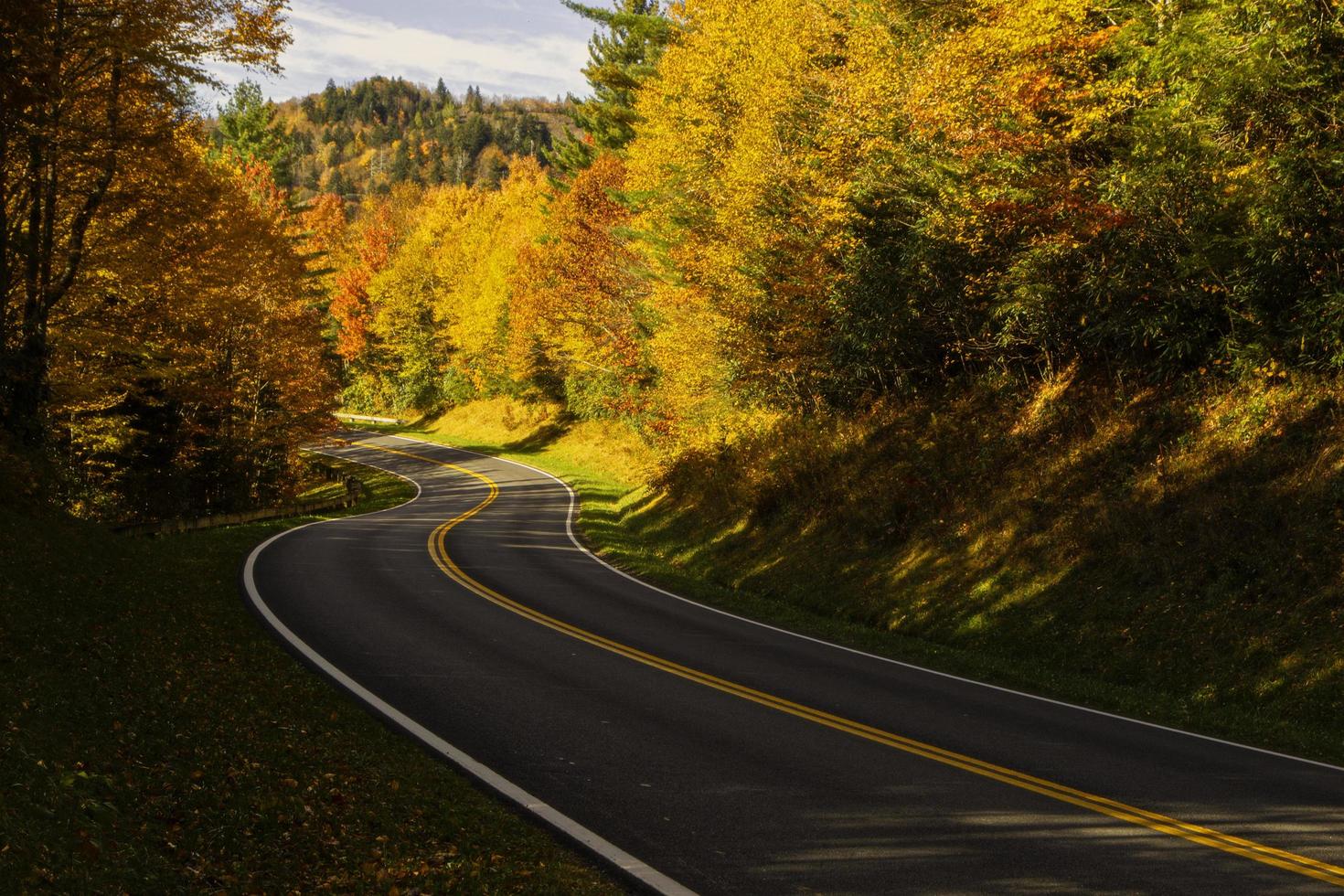 strada con alberi d'autunno foto