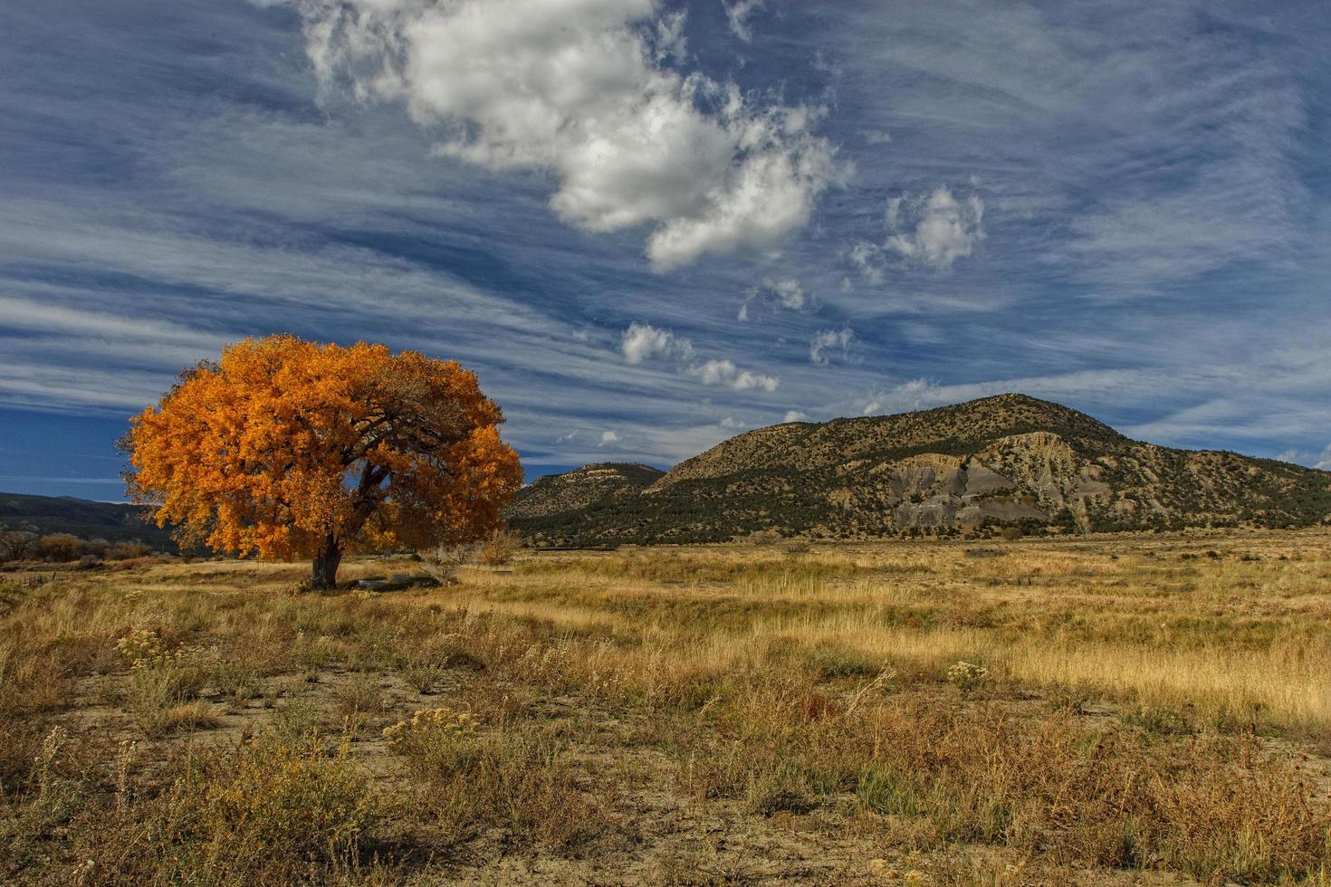 fogliame autunnale e montagna sotto un cielo blu foto