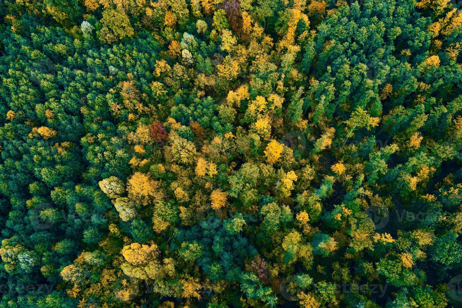 aereo Visualizza di montagne coperto con autunno foresta foto