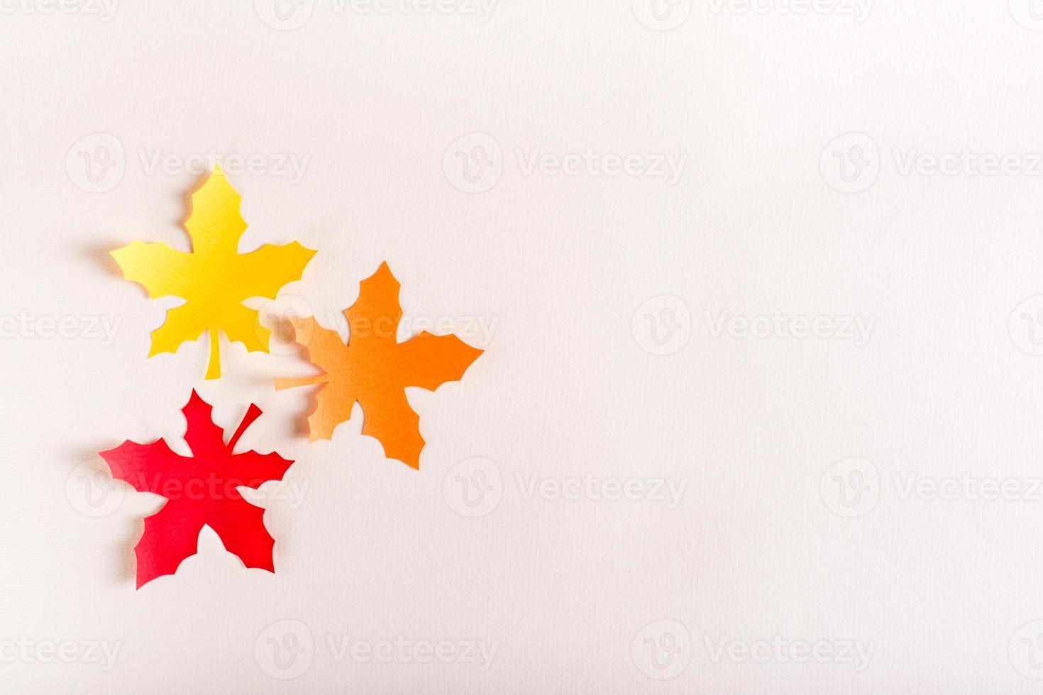 tre tagliare su multicolore acero le foglie a partire dal mestiere carta. autunno decorazione. foto