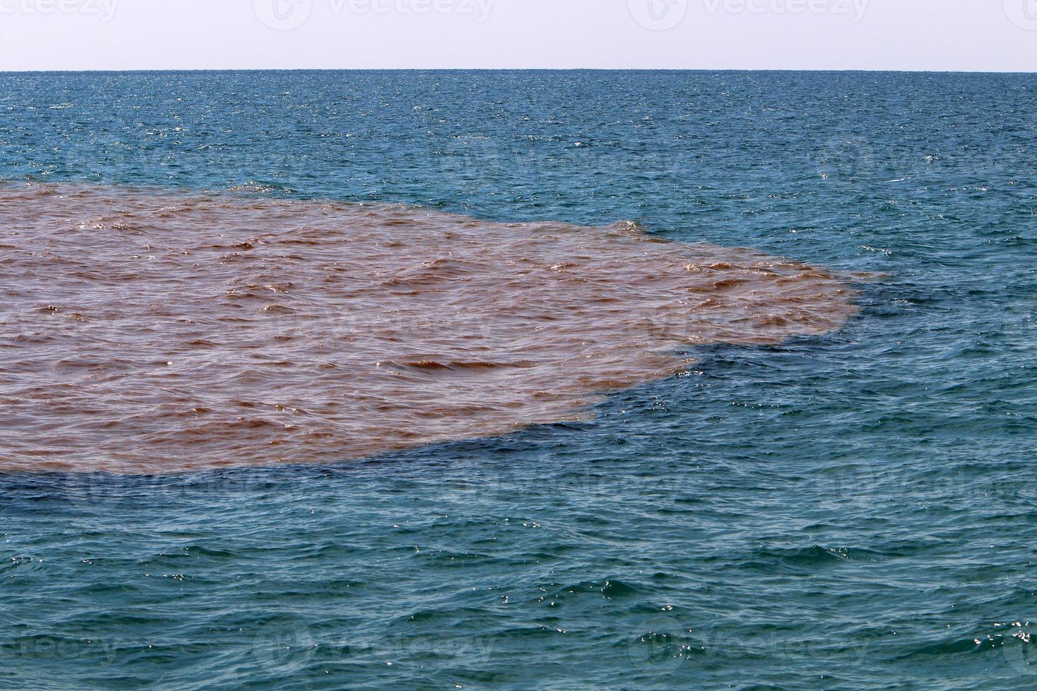 il colore di il acqua nel il mediterraneo mare nel superficiale acqua foto