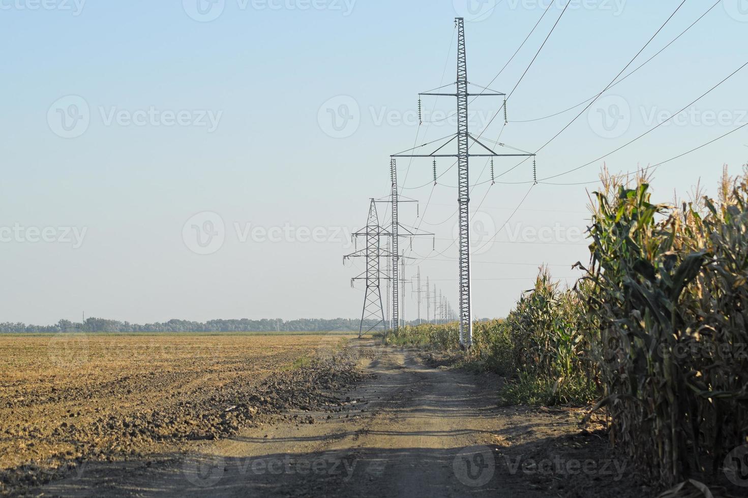 energia poli vicino il campo di mais foto