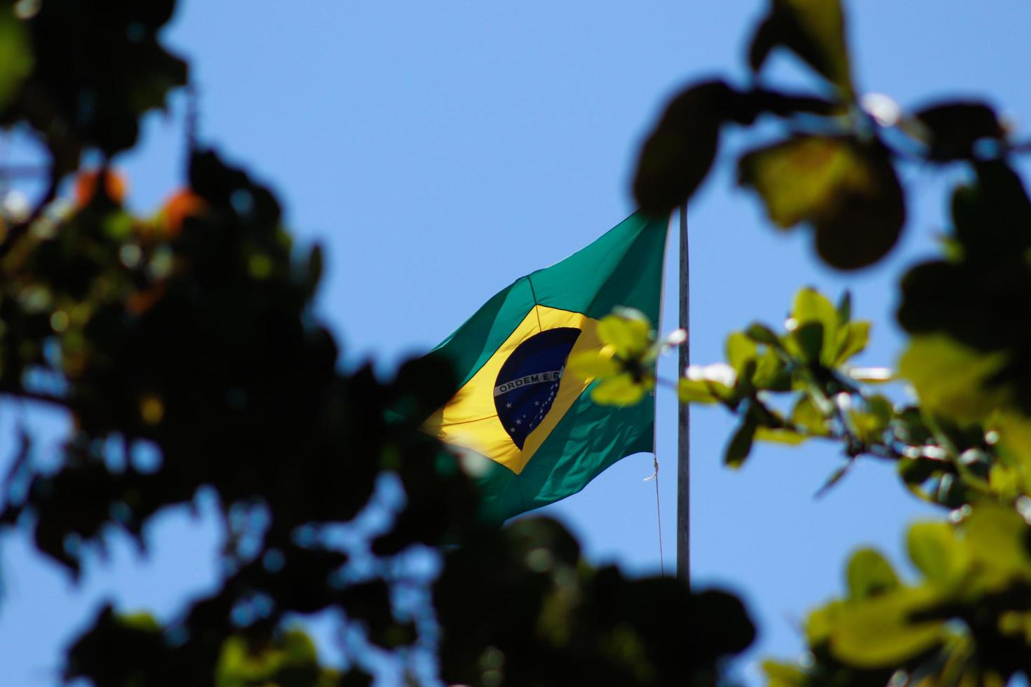 rio de janeiro, rj, brasile, 2022 - brasile nazionale bandiera visto attraverso il alberi a rosso spiaggia, urca Quartiere foto