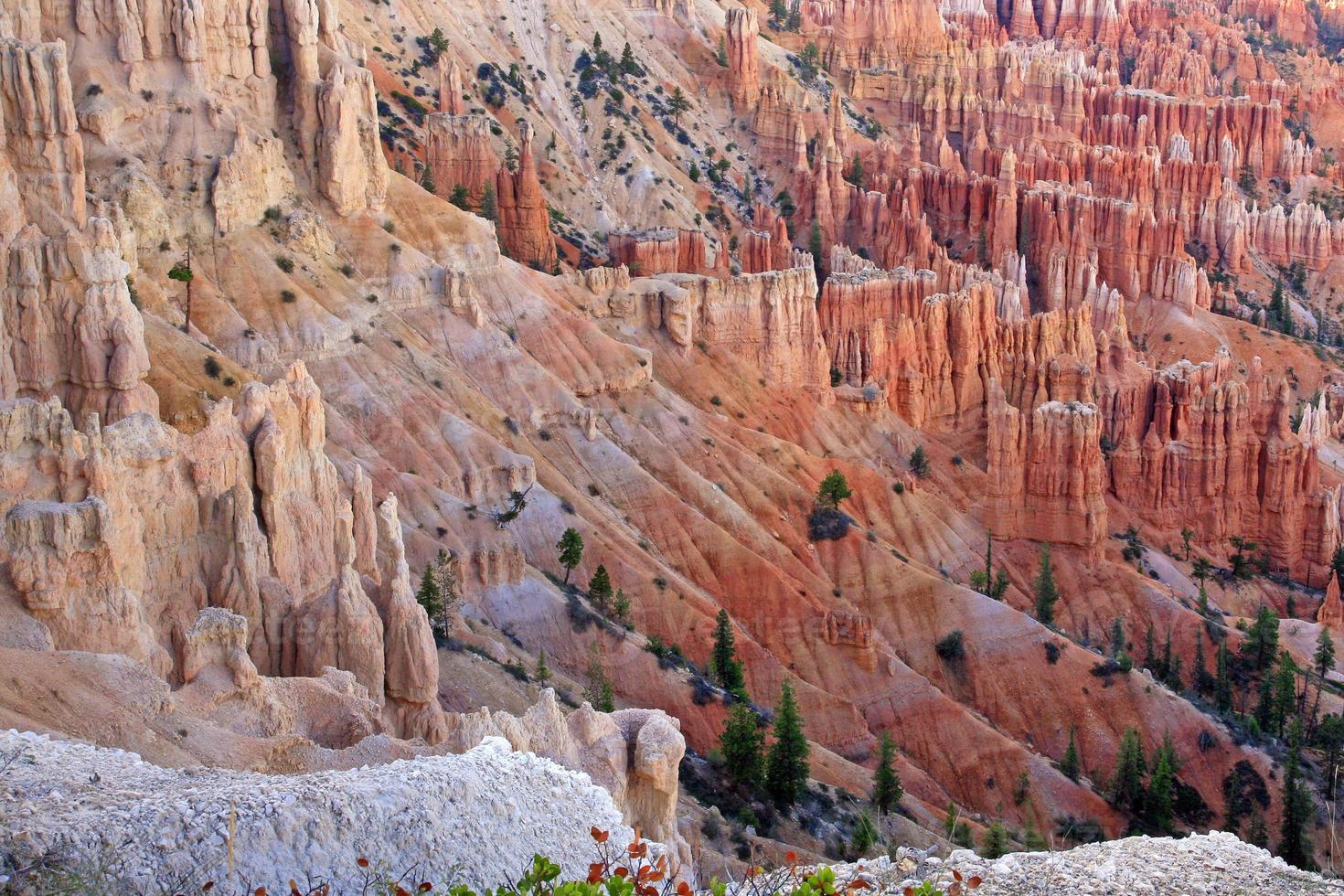 grandi guglie scavate dall'erosione nel bryce canyon foto