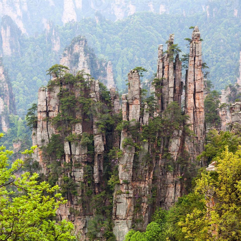 Parco forestale nazionale di Zhangjiajie nella provincia di Hunan, Cina. foto