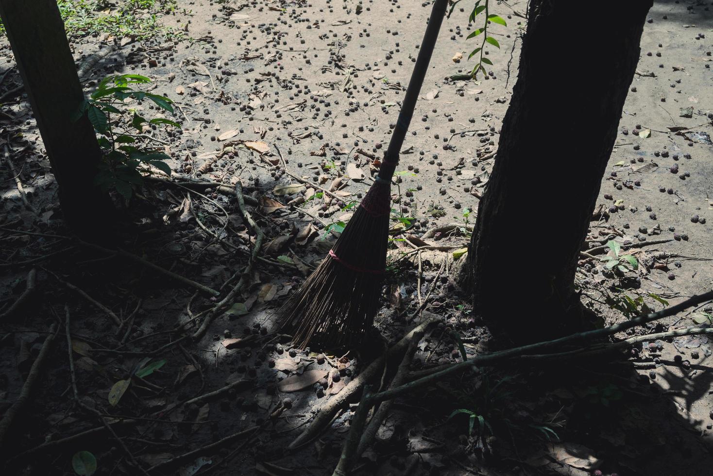 radicale il caduto le foglie a partire dal il giardino terra per raccolta differenziata durante autunno autunno stagione.uomo scopare il strada per raccogliere asciutto caduto le foglie. foto