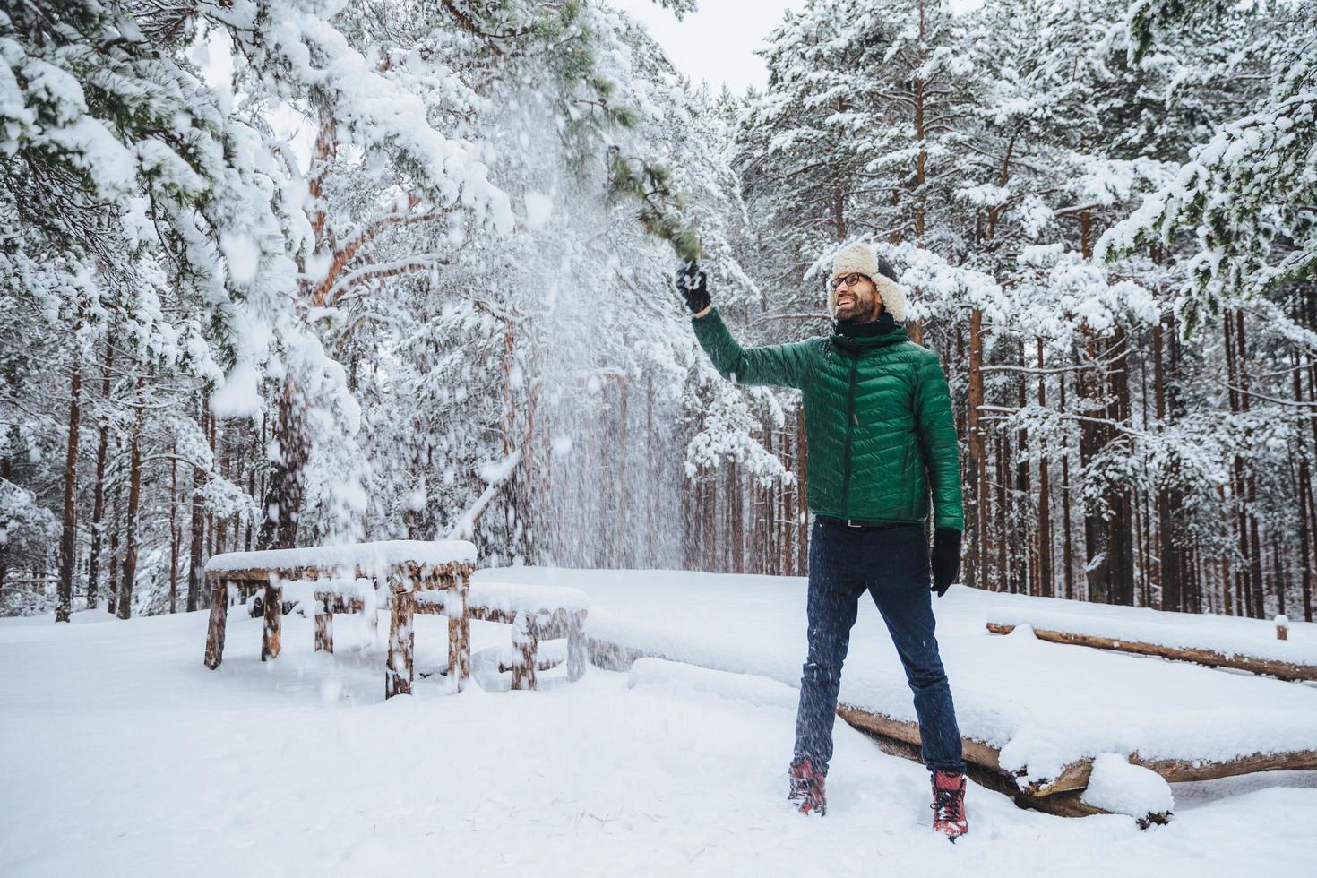 ritratto di sorridente ragazzo barbuto vestito con abiti caldi, scuote l'albero coperto di neve, ha un'espressione soddisfatta, ama trascorrere il tempo libero o i fine settimana con l'aria fresca d'inverno. concetto di stagione foto