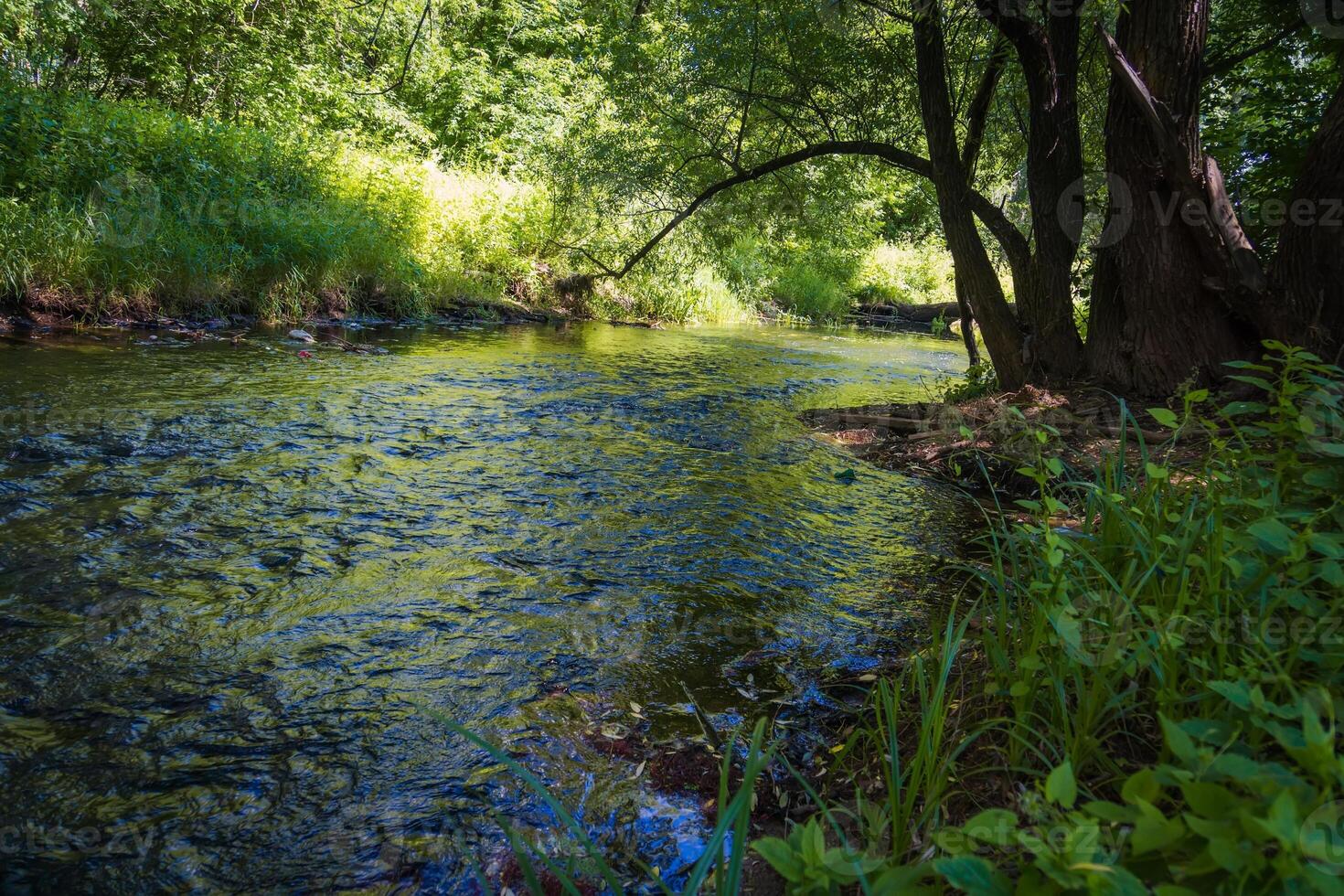 fiume nel il rurale foto