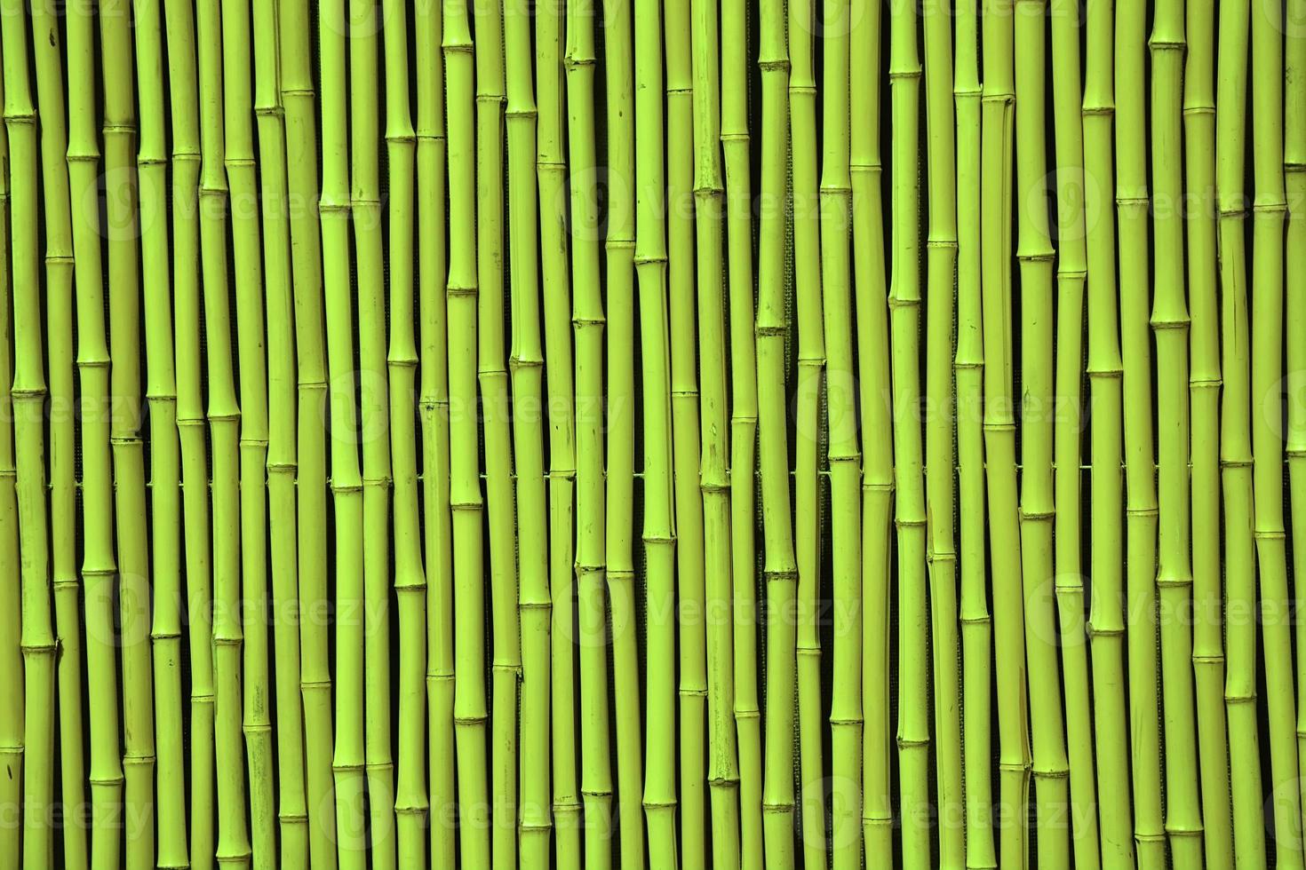bambù verde. l'immagine può essere utilizzata come sfondo foto