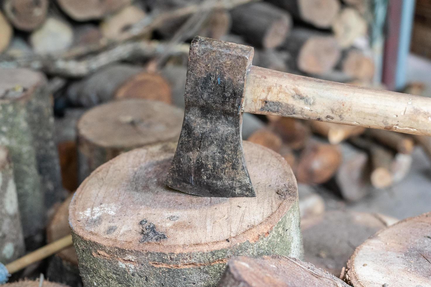 registrazione, di spessore logs menzogna nel il foresta contro il fondale di un' tramonto, copia spazio, legname foto