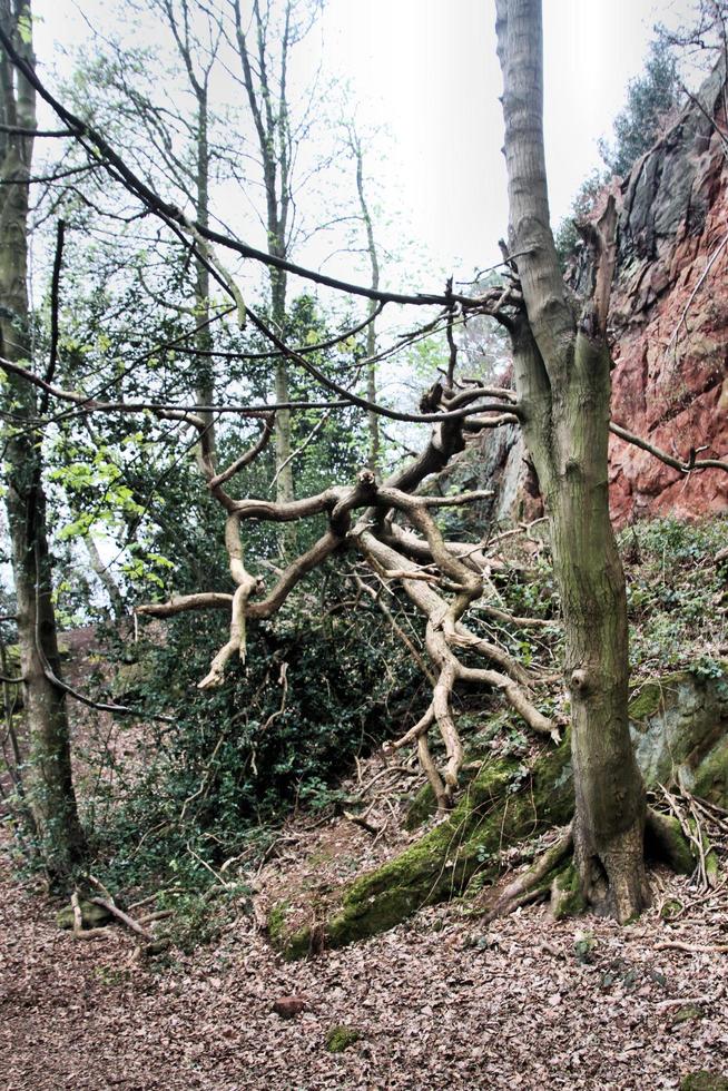 un' Visualizza di il shropshire campagna a grinshill foto