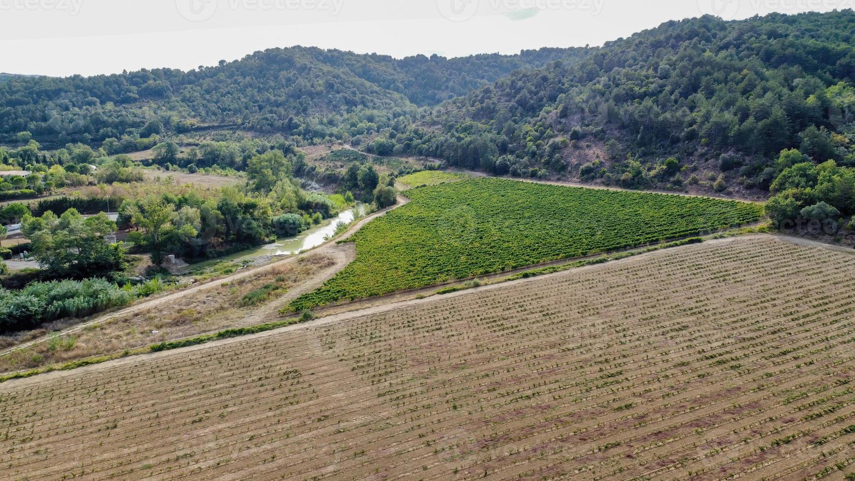 fuco Visualizza di il lauquet fiume foto