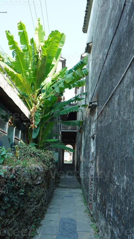 il bellissimo tradizionale Cinese villaggio Visualizza con il classico architettura e fresco verde alberi come sfondo foto