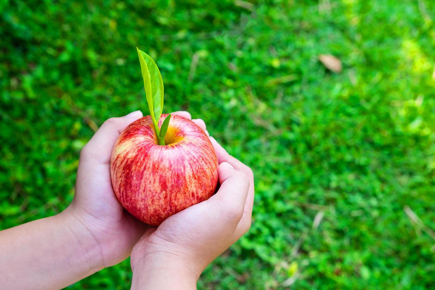 frutta fresca di mele in mano di un bambino foto