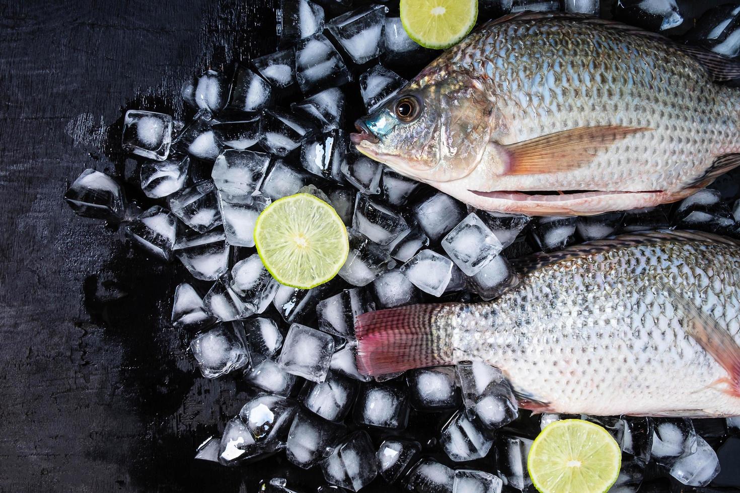 tilapia fresca su ghiaccio con limoni foto