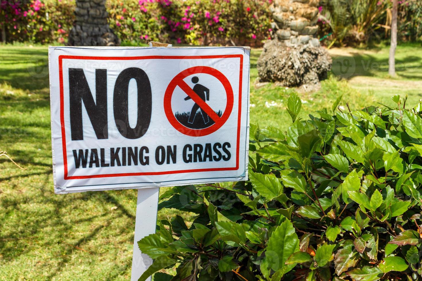 no a piedi su erba avvertimento cartello nel il giardino foto