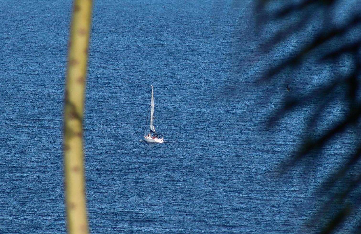 rio de janeiro, rj, brasile, 2022 - barca a vela visto a partire dal Due fratelli scogliera naturale parco, leblon Quartiere foto