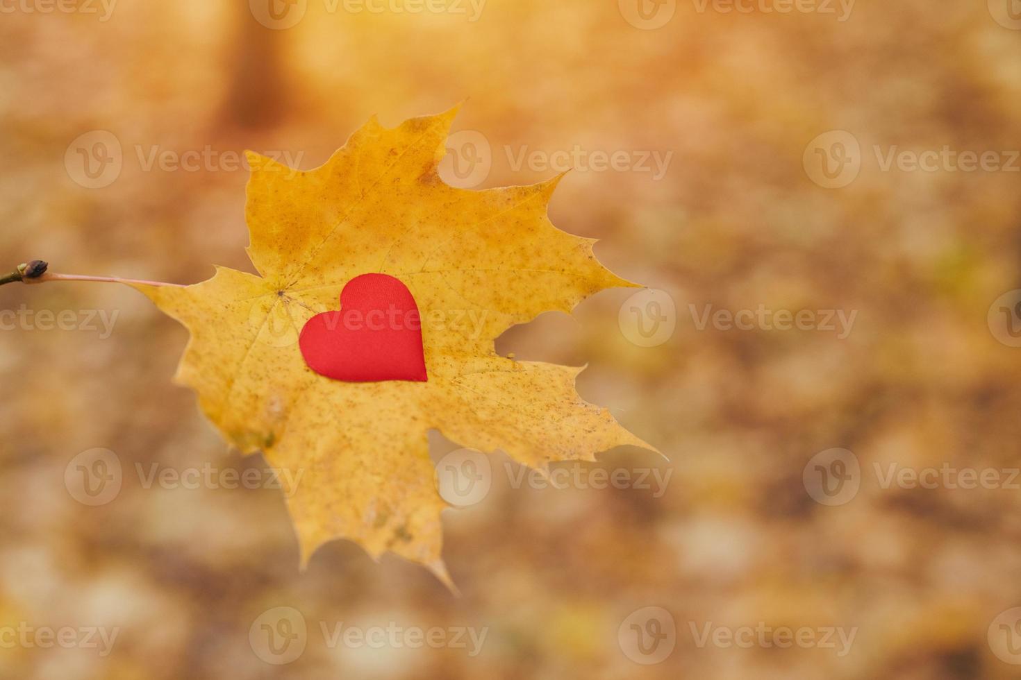 Aperto puro cuore simbolo, copia spazio foto