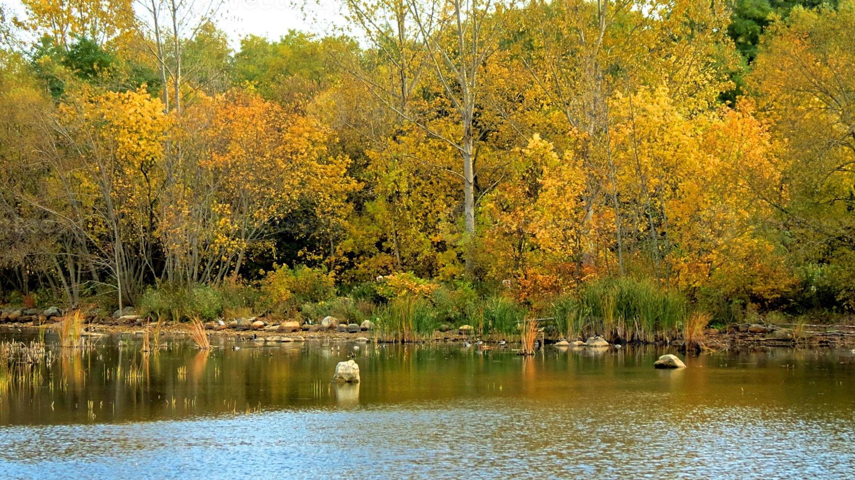 autunno bagnato terra foto