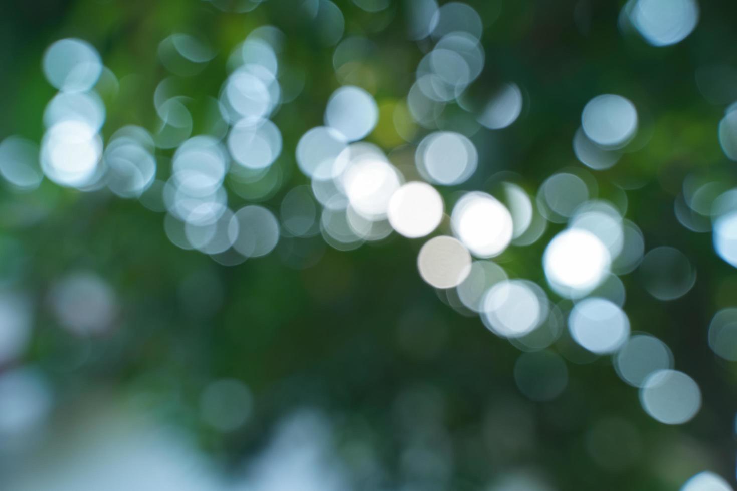 bellissimo naturale bokeh sfocatura sfondo rendere il bellezza di luce. foto