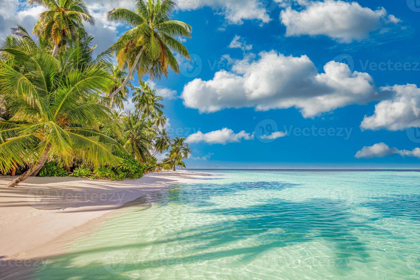 migliore estate spiaggia paesaggio. tranquillo tropicale isola, Paradiso costa, mare laguna, orizzonte, palma alberi e soleggiato cielo al di sopra di sabbia onde. sorprendente vacanza paesaggio sfondo. bellissimo vacanza spiaggia foto