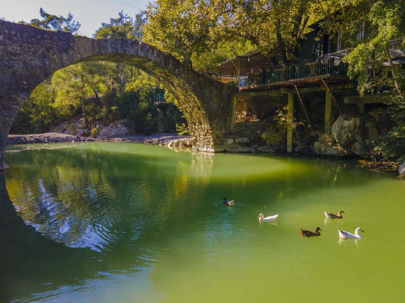 mozzafiato visualizzazioni a partire dal il aria nel natura. è autunno Qui foto