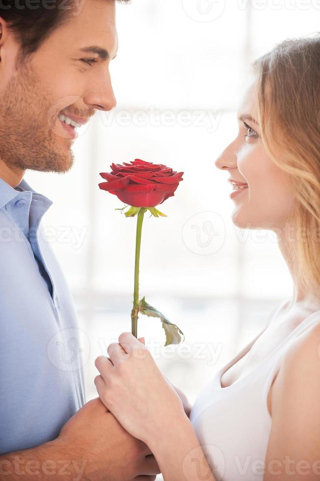 romantico momento. allegro giovane amorevole coppia Tenere un' rosso rosa insieme e sorridente mentre in piedi viso per viso foto