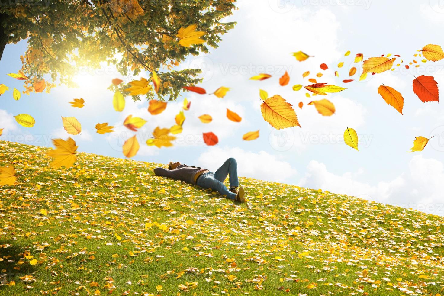 colorato luminosa le foglie caduta nel autunnale parco. foto