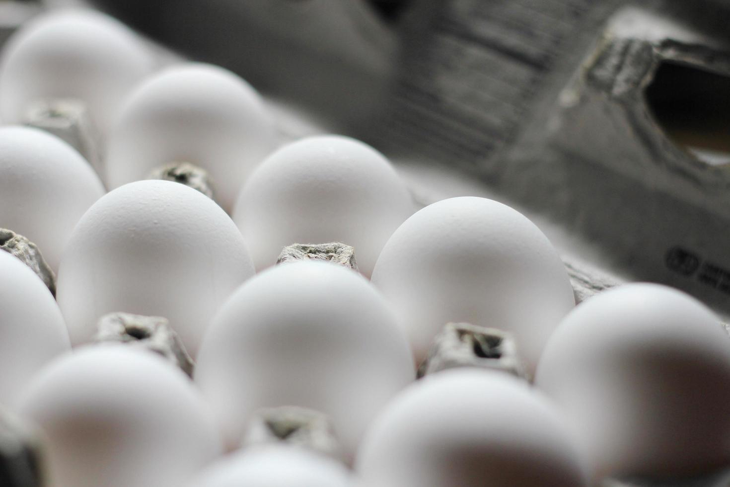 uovo bianchi nel il ovaia scatola siamo proteina Alimenti. foto