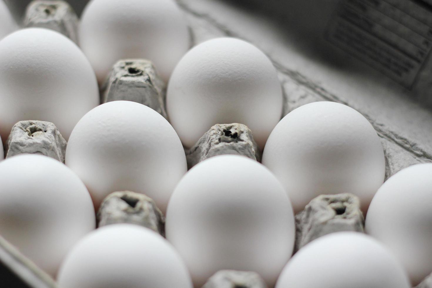 uovo bianchi nel il ovaia scatola siamo proteina Alimenti. foto