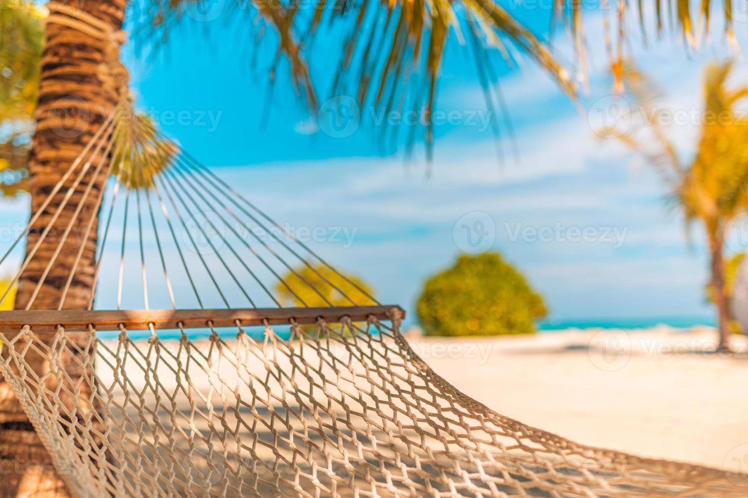idilliaco spiaggia con Noce di cocco alberi e amaca, tranquillo rilassante estate vibrazioni. ricreativo avvicinamento, tranquillo, calmo spiaggia paesaggio. . Perfetto spiaggia scena vacanza e estate vacanza concetto foto