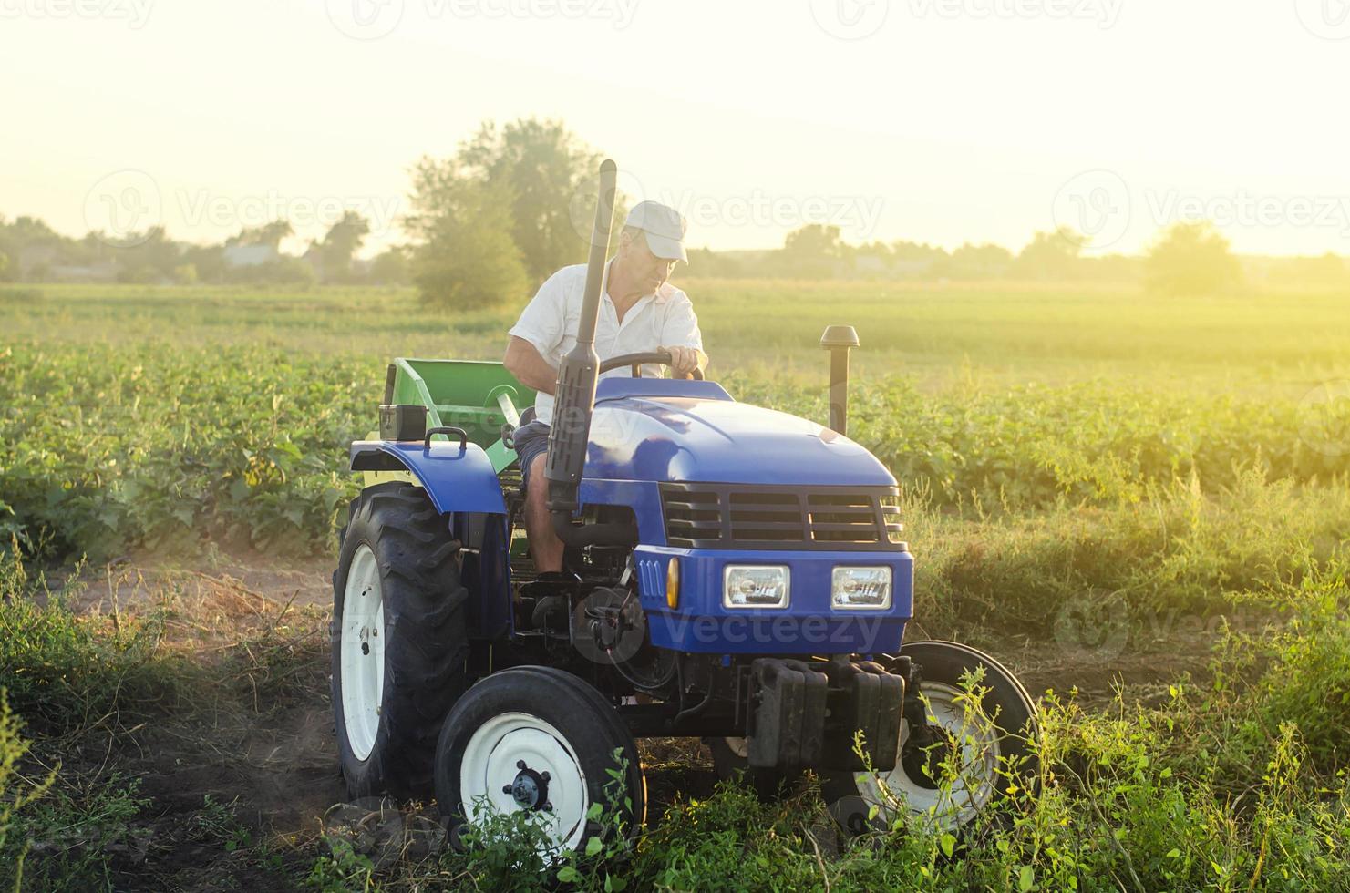 contadino su un' trattore lavori nel azienda agricola campo. agricoltura, agricoltura. semplificare e velocità su opera con tecnologia e macchine. agricoltura e terreno agricolo. raccolta patate. raccolta patate nel autunno. foto