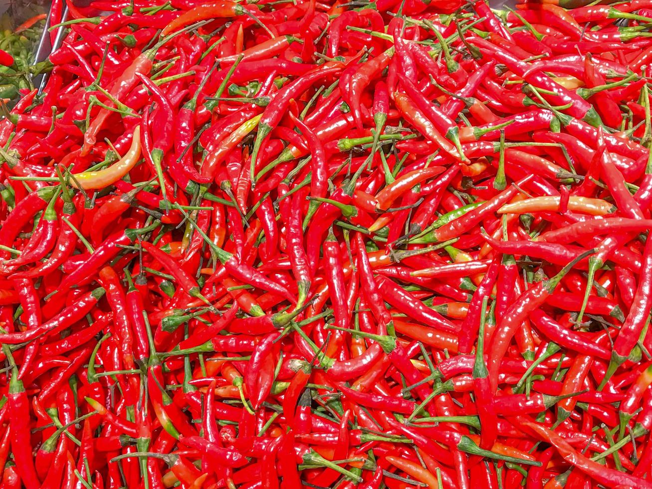 peperoncino fresco in un supermercato foto